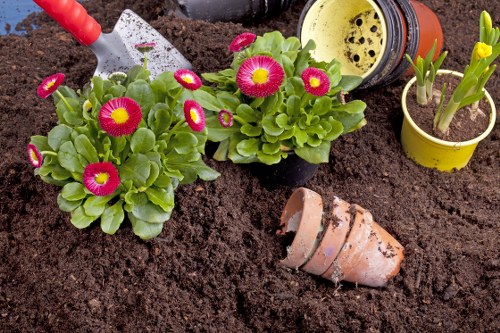 Gardener carrying out a safe pre-work inspection of tools and garden area