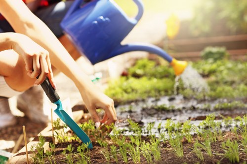 Garden maintenance in Canning Town with a neatly trimmed lawn and tidy borders