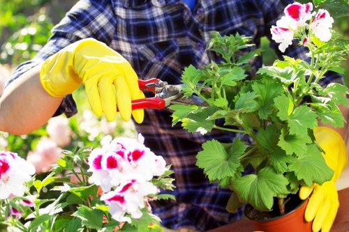 Low-maintenance garden planting in Canning Town