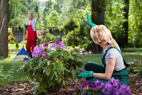 Gardeners working on a Canning Town outdoor space