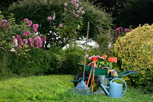 Well-trimmed garden hedge providing privacy and a tidy finish in Canning Town