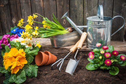 Removal of green waste and garden debris in Canning Town