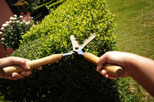 Final section of a gardeners safety policy focusing on compliance and safe practice