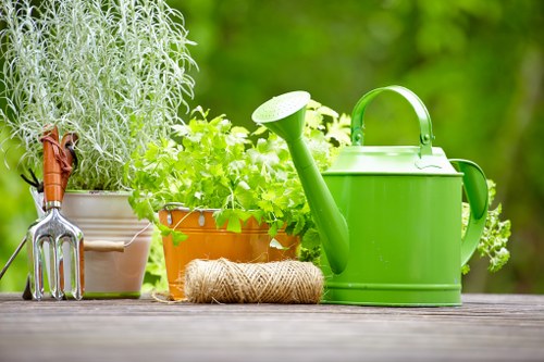 Garden waste and clutter removal in Canning Town