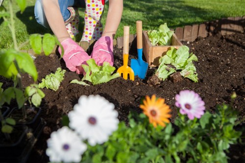 Lawn care in Canning Town focusing on soil health, drainage, and greener turf