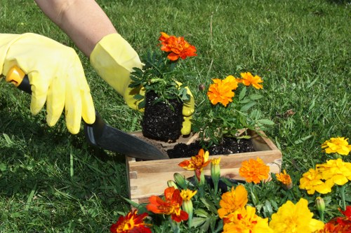 Professional lawn maintenance in Canning Town with mowing and feeding tasks