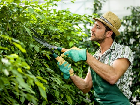 Governing law and final terms for garden services