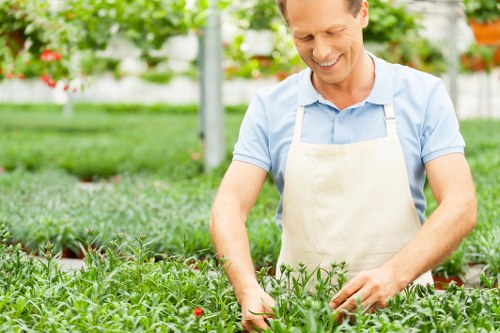 Free quote policy for local gardening services in Canning Town