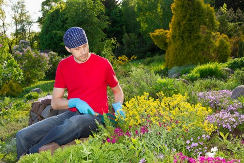 Professional garden maintenance in Canning Town including hedge trimming and weeding