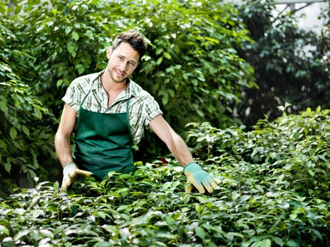 Small garden landscaping ideas for Canning Town homes
