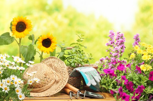 Careful hedge maintenance and pruning in an East London outdoor space