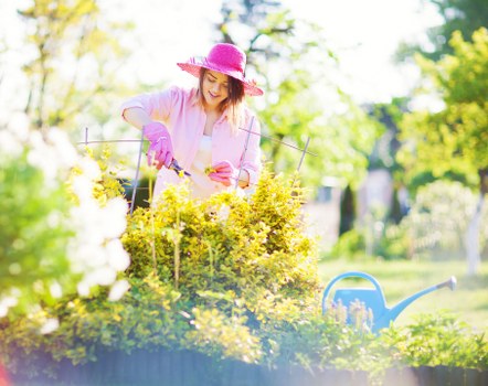 Example garden maintenance jobs for Canning Town homes and flats
