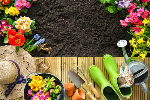 Neatly trimmed garden lawn with clean edges