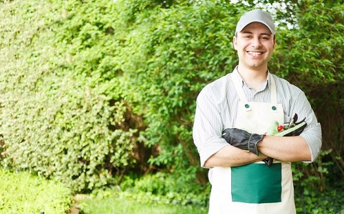 Professional gardeners maintaining lawns and plants in Canning Town