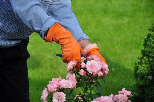 Seasonal garden maintenance service in Canning Town