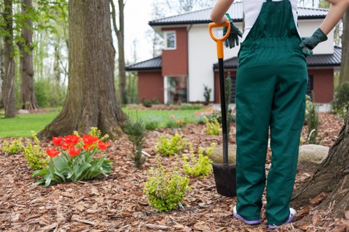 Local transfer station handling recycled garden waste in east London
