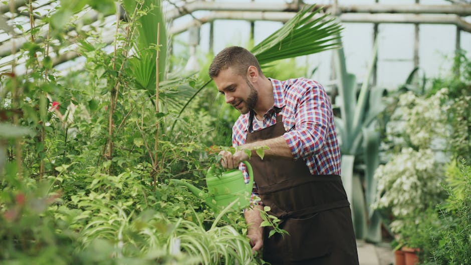 A young man with short brown hair and a beard is working in a lush greenhouse filled with various green plants, including broad-leafed tropical varieties and flowering shrubs. He is wearing a red, blu